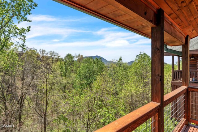 634 Stockton Dr, Sevierville, TN 37876 - photo 43