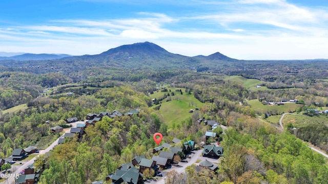 634 Stockton Dr, Sevierville, TN 37876 - photo 35