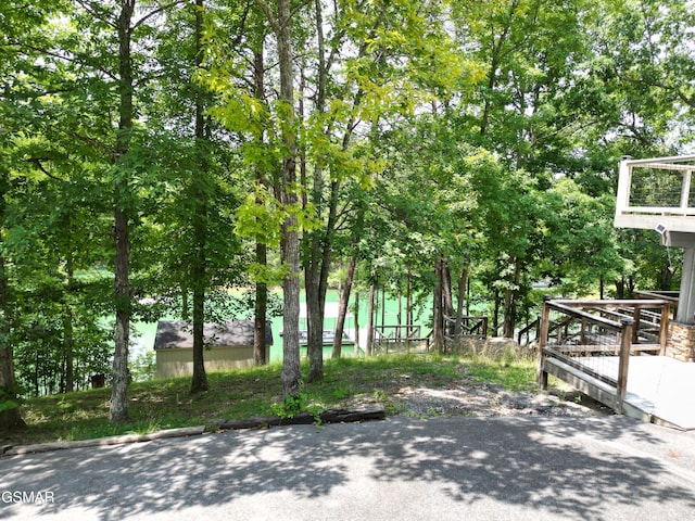 2517 Angler Way, Sevierville, TN 37876 - view of yard