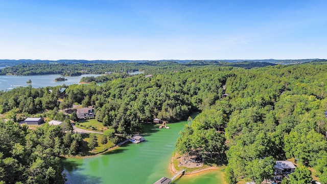 2517 Angler Way, Sevierville, TN 37876 - bird's eye view of a forest and a nearby body of water