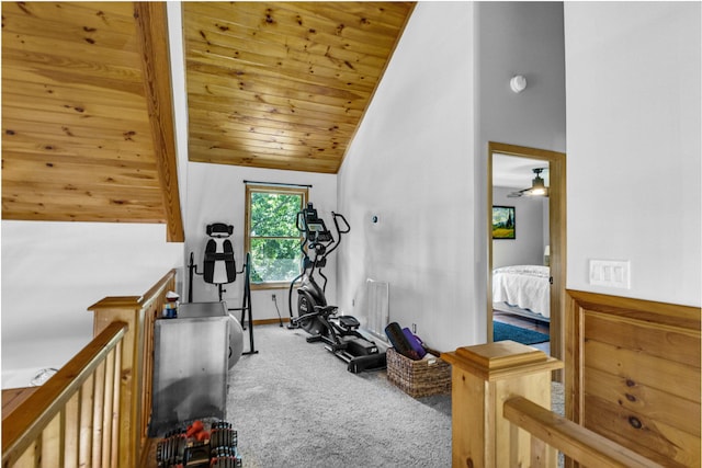 2517 Angler Way, Sevierville, TN 37876 - exercise area with carpet floors, lofted ceiling, and wood ceiling