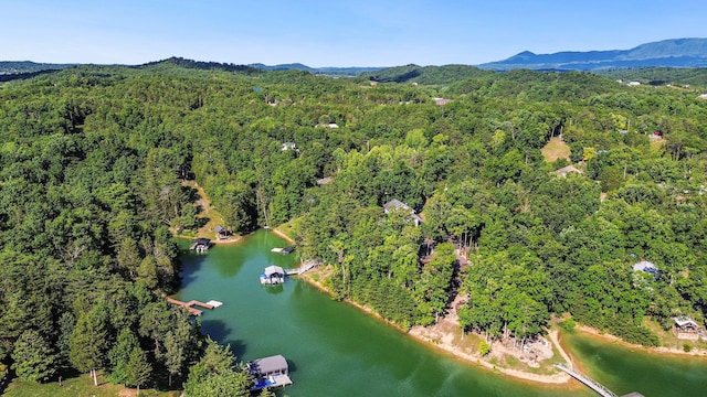 2517 Angler Way, Sevierville, TN 37876 - aerial view of a heavily wooded area and a water and mountain view