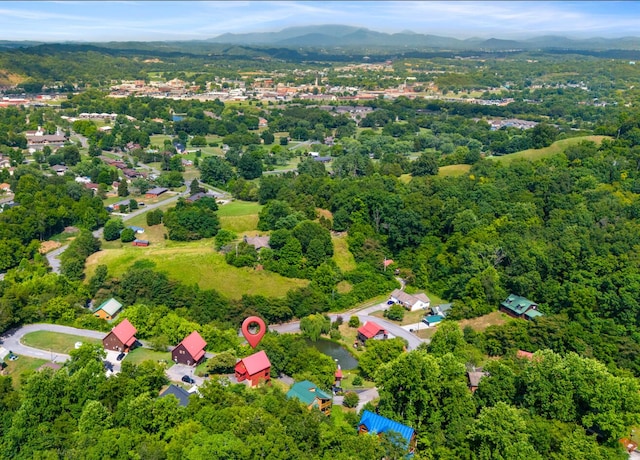 aerial view with a forest view and a mountain view