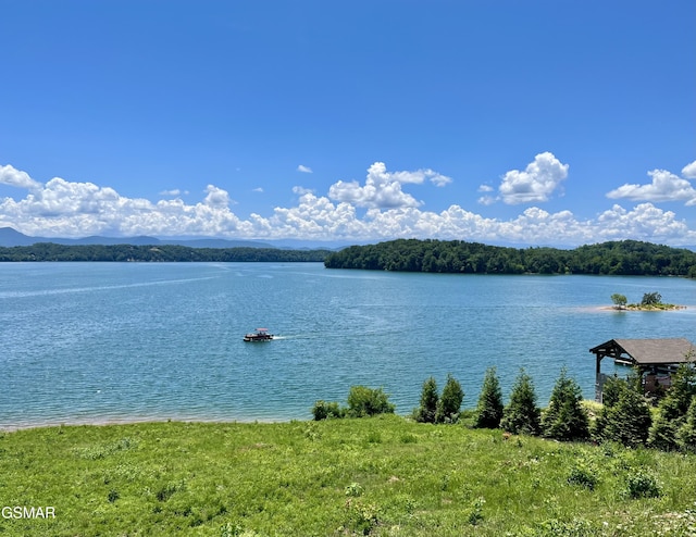 LOT99 Majestic Cir, Dandridge, TN 37725