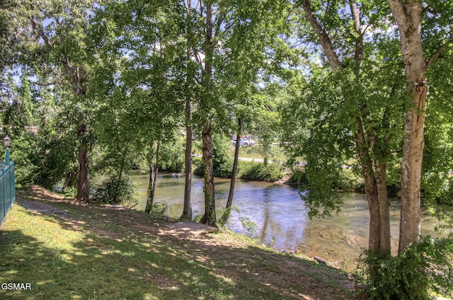 3215 N River Rd Unit 103, Pigeon Forge, TN 37863 - water view