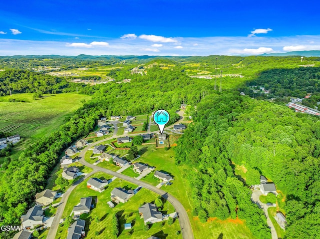 234 Clear Creek Rd, Kodak, TN 37764 - photo 53