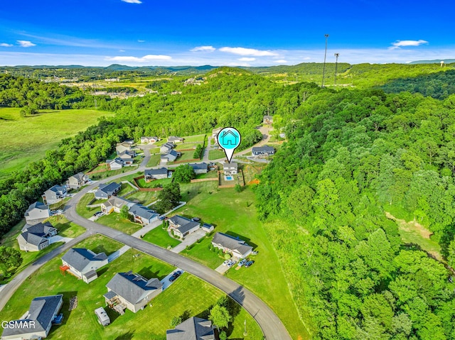 234 Clear Creek Rd, Kodak, TN 37764 - photo 52