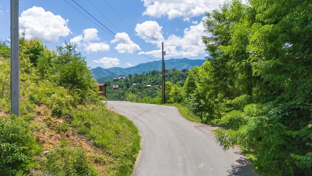 550 Greenbriar Ln, Gatlinburg TN, 37738 land for sale