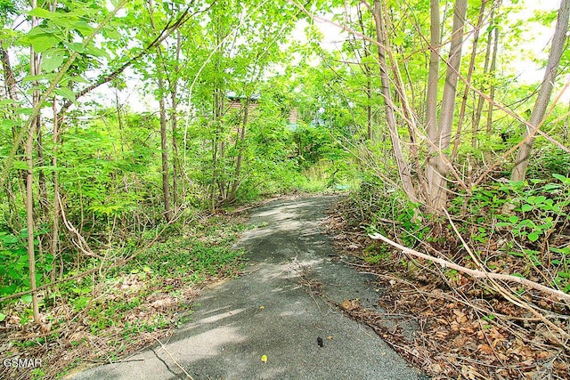 730 Wiley Oakley Dr, Gatlinburg, TN 37738