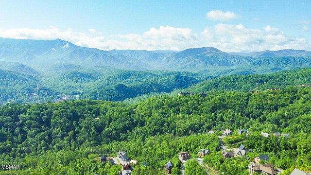 730 Wiley Oakley Dr, Gatlinburg, TN 37738