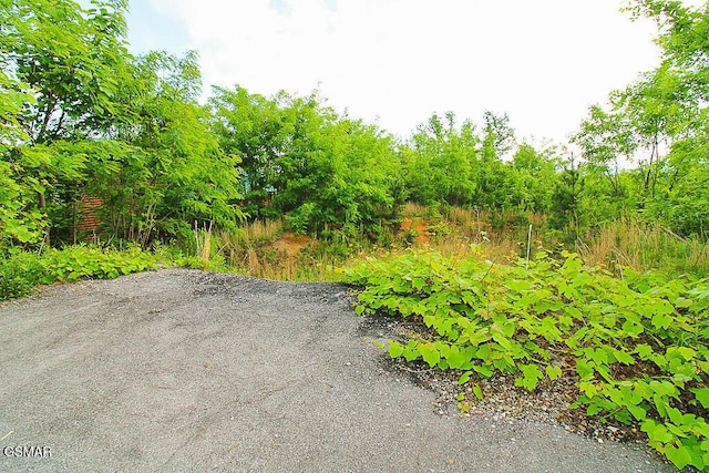 730 Wiley Oakley Dr, Gatlinburg, TN 37738