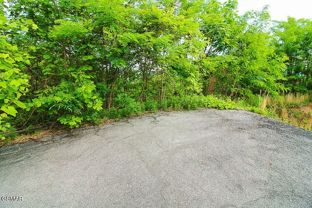 730 Wiley Oakley Dr, Gatlinburg, TN 37738
