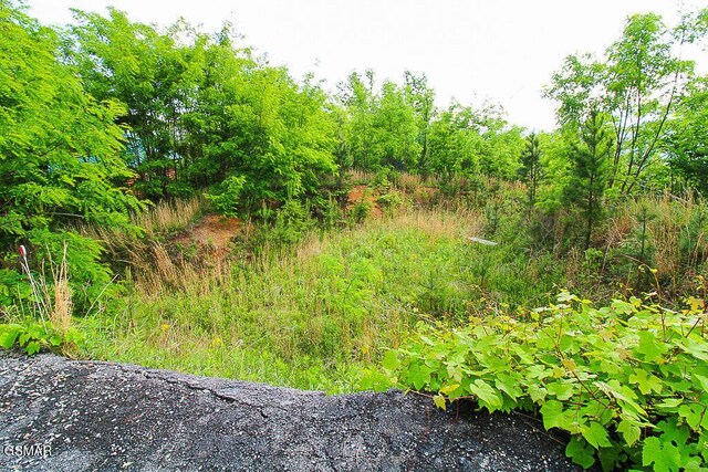 730 Wiley Oakley Dr, Gatlinburg, TN 37738