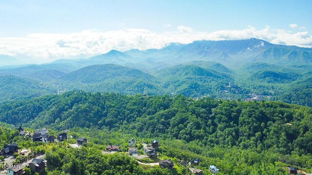 730 Wiley Oakley Dr, Gatlinburg, TN 37738