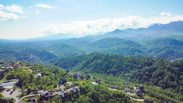 730 Wiley Oakley Dr, Gatlinburg, TN 37738