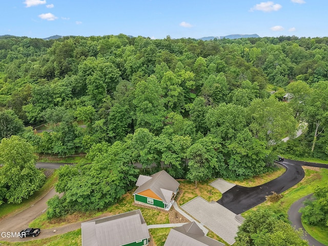 1014 Pinyon Cir, Pigeon Forge, TN 37863 - bird's eye view of a heavily wooded area