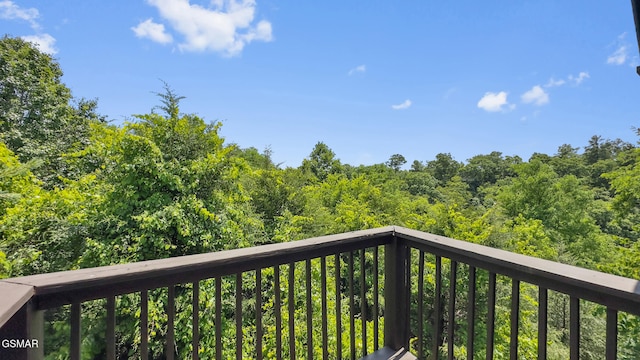 2028 Eagle Feather Dr, Sevierville, TN 37876 - photo 29