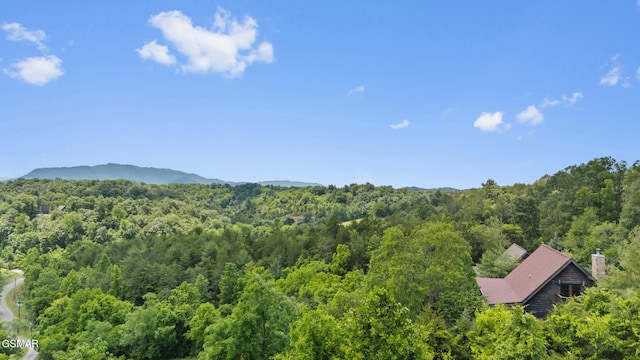 2028 Eagle Feather Dr, Sevierville, TN 37876 - photo 33