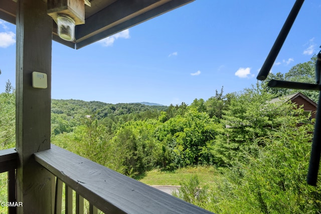 2028 Eagle Feather Dr, Sevierville, TN 37876 - photo 23