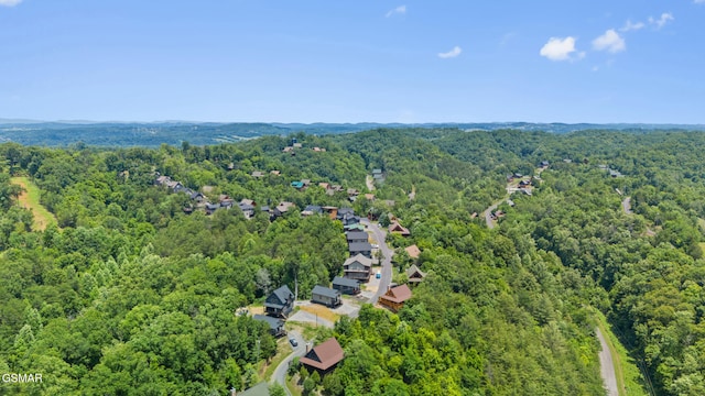 2028 Eagle Feather Dr, Sevierville, TN 37876 - photo 32