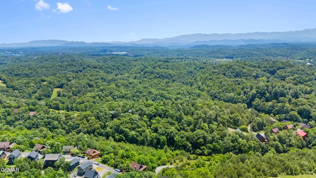 2028 Eagle Feather Dr, Sevierville, TN 37876 - photo 34
