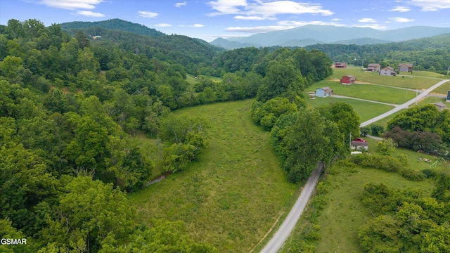5389 Cocke County Line Rd, Cosby, TN 37722 - photo 6