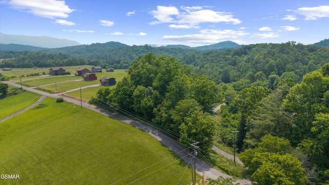 5389 Cocke County Line Rd, Cosby, TN 37722 - photo 9