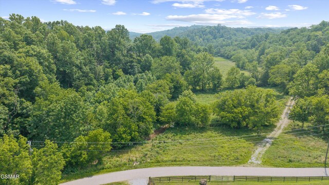 5389 Cocke County Line Rd, Cosby, TN 37722 - photo 11