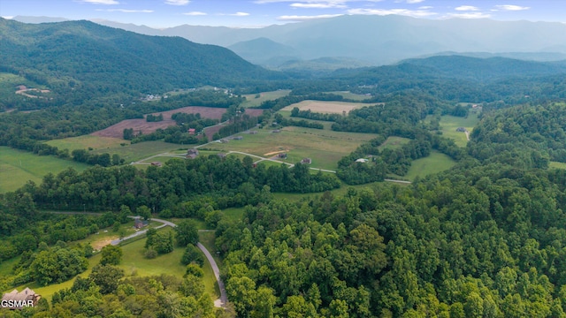 5389 Cocke County Line Rd, Cosby, TN 37722 - photo 5