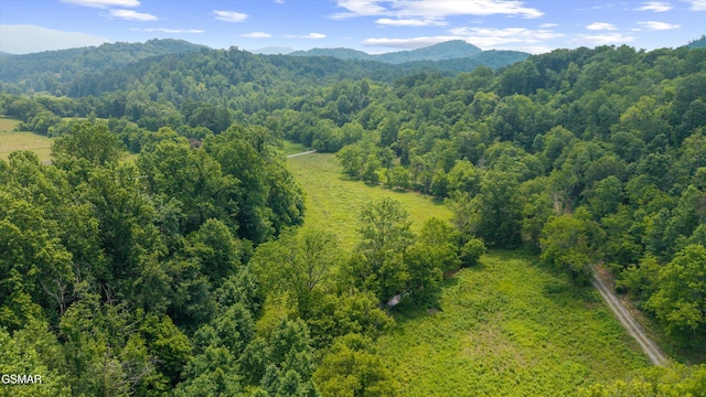 5389 Cocke County Line Rd, Cosby, TN 37722 - photo 10