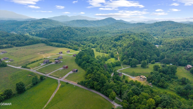 5389 Cocke County Line Rd, Cosby, TN 37722 - photo 7