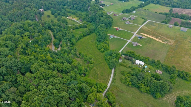 5389 Cocke County Line Rd, Cosby, TN 37722 - photo 4