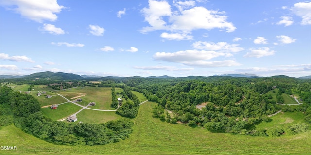 5389 Cocke County Line Rd, Cosby, TN 37722 - photo 13