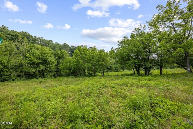 5389 Cocke County Line Rd, Cosby, TN 37722 - photo 12