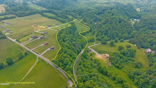 5389 Cocke County Line Rd, Cosby, TN 37722 - photo 2