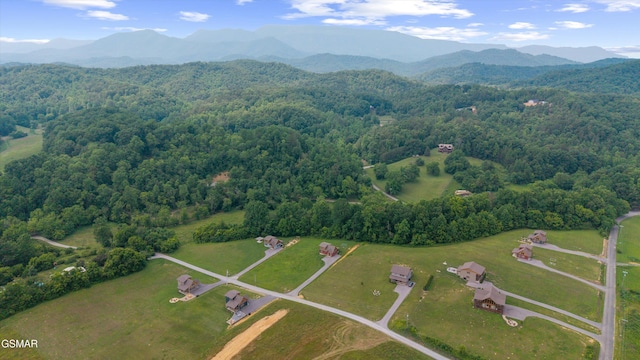 5389 Cocke County Line Rd, Cosby, TN 37722 - photo 3