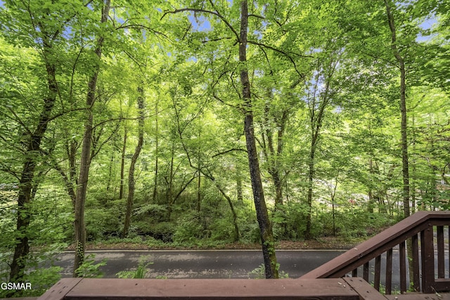 215 Lovers Ln, Townsend, TN 37882 - view of tree filled area