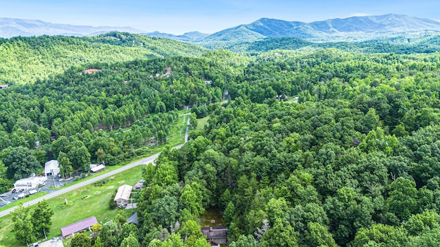 birds eye view of property with a mountain view