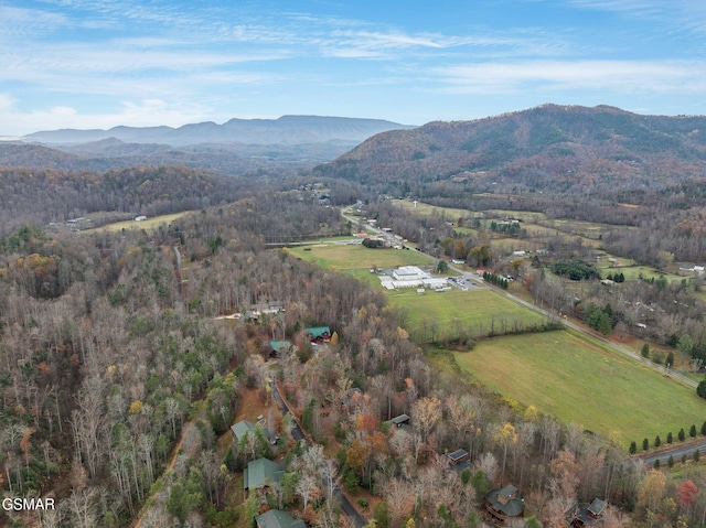 property view of mountains