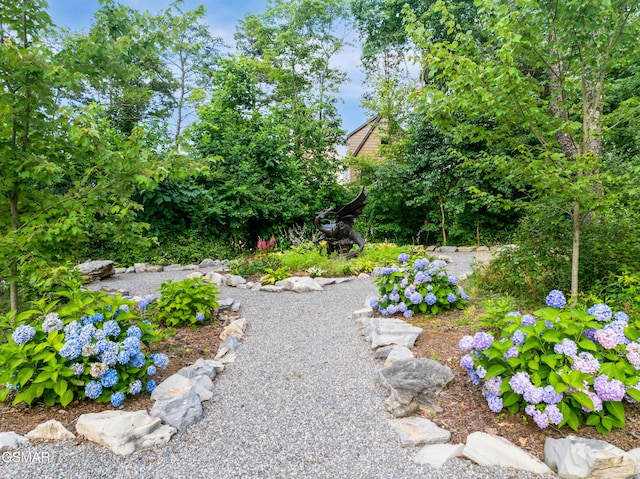 970 Douglas Dam Rd Unit 6, Kodak, TN 37764 - view of yard