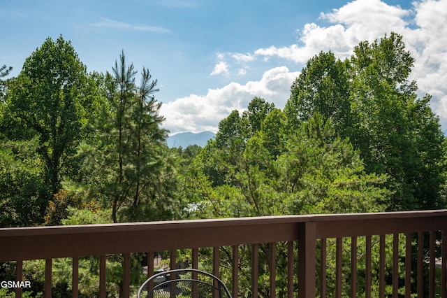 1727 Brent Hills Blvd, Gatlinburg, TN 37738 - photo 52