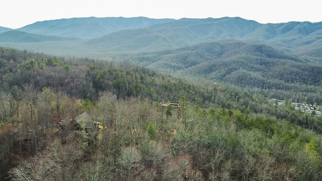 view of mountain feature