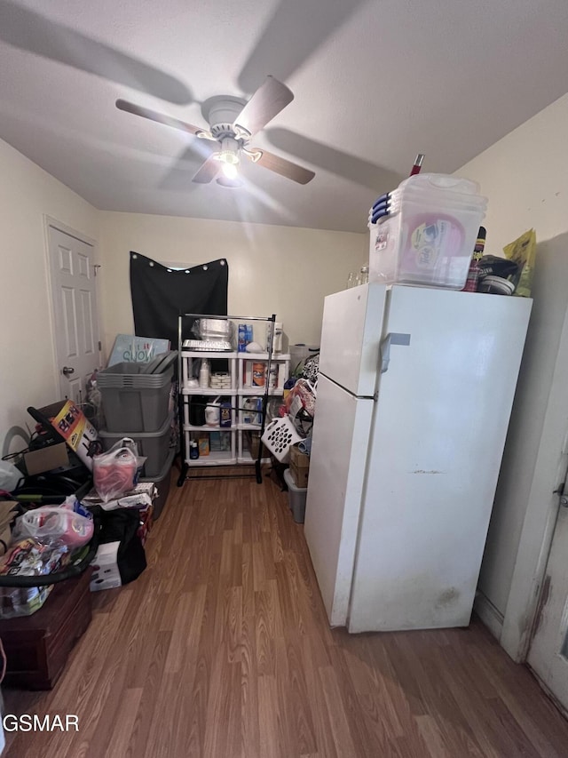 storage room featuring ceiling fan