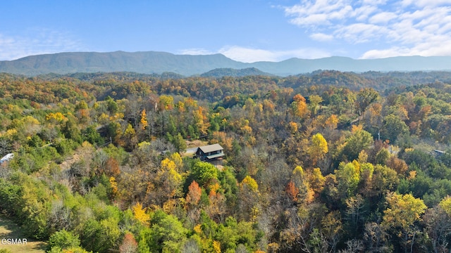 view of mountain feature