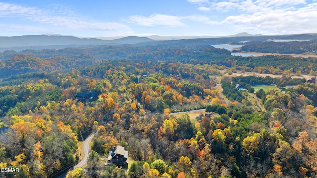 birds eye view of property featuring a mountain view