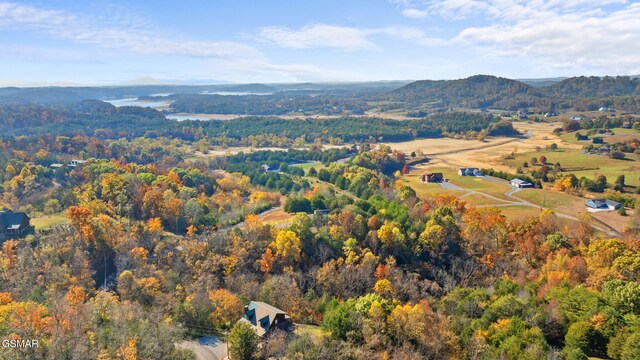 birds eye view of property featuring a mountain view