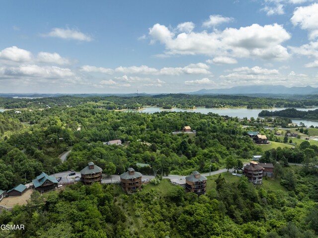 2083 Kerr Rd, Sevierville, TN 37876 - aerial view of a forest and a nearby body of water