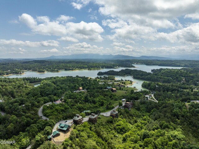 2083 Kerr Rd, Sevierville, TN 37876 - bird's eye view of a forest and a water and mountain view