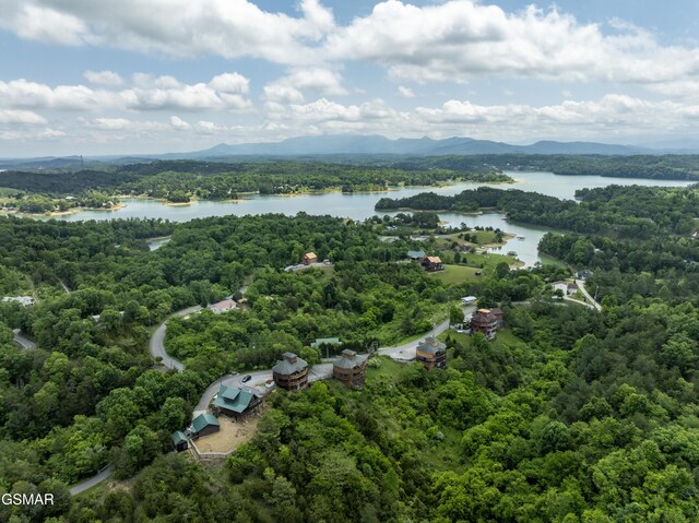 2083 Kerr Rd, Sevierville, TN 37876 - aerial view of a forest and a water and mountain view