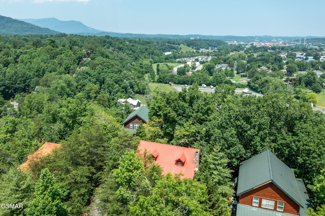 3529 Peggy Ln, Pigeon Forge, TN 37863 - drone / aerial view of a heavily wooded area and mountains